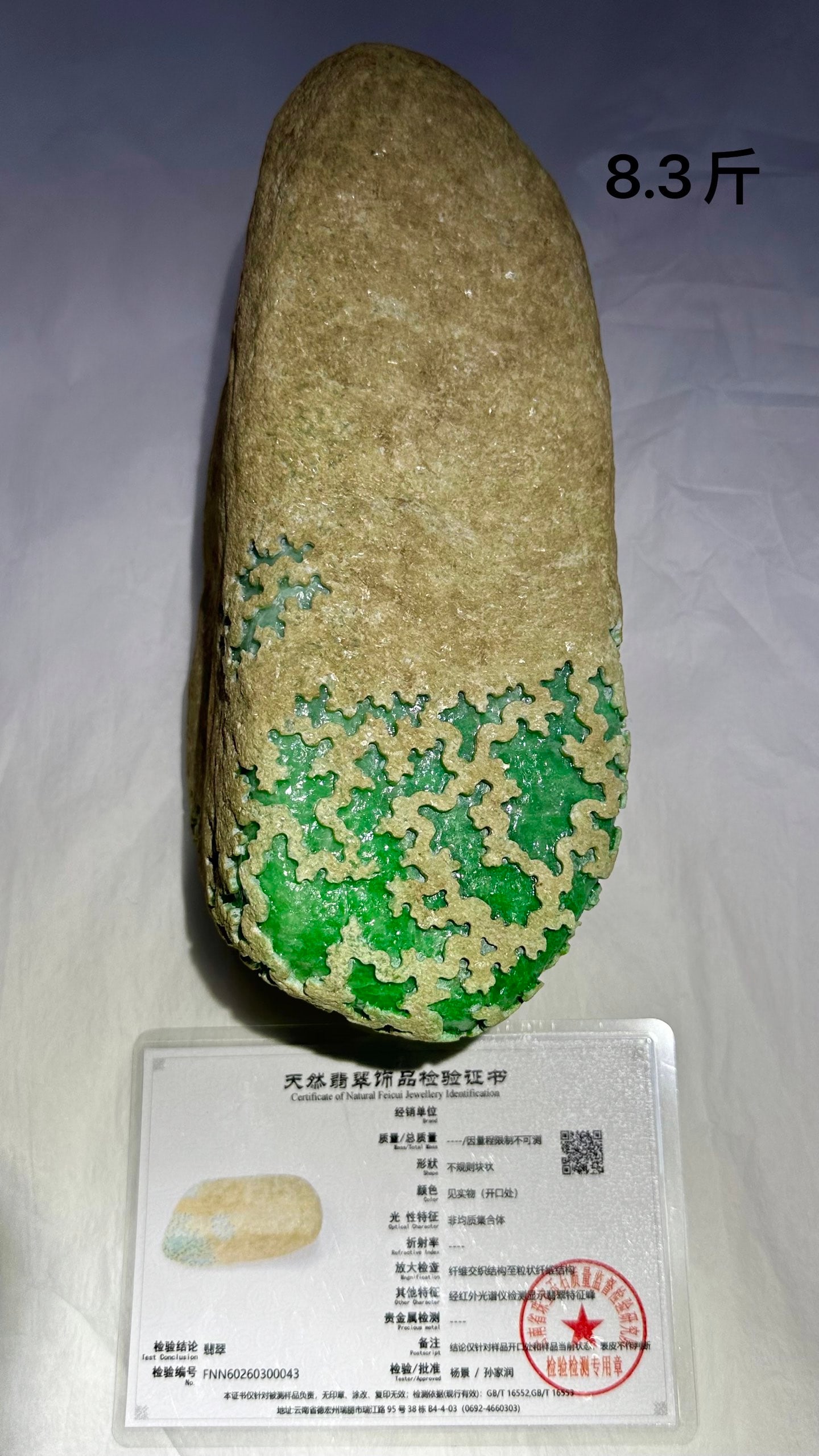 High-Ice Vivid Green Jadeite Rough Stone (1 of 9)