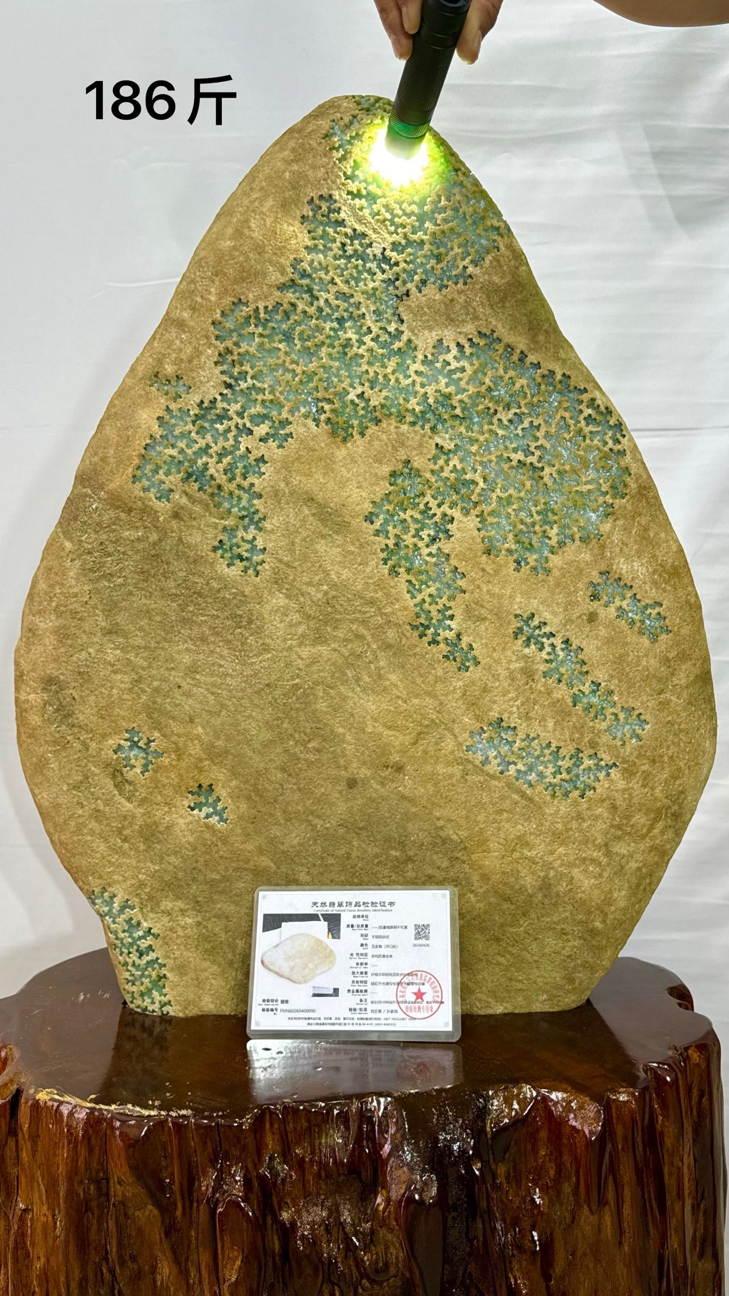 Grade A Full Green Rough Jadeite, 186 Jin: Grade A Full Green Jadeite Rough Stone, 186 Jin, H77cm L46cm, Weight 93000g