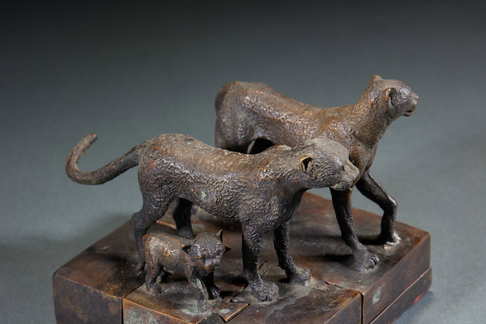 Bronze Mother-son Leopard Seals Set - 4