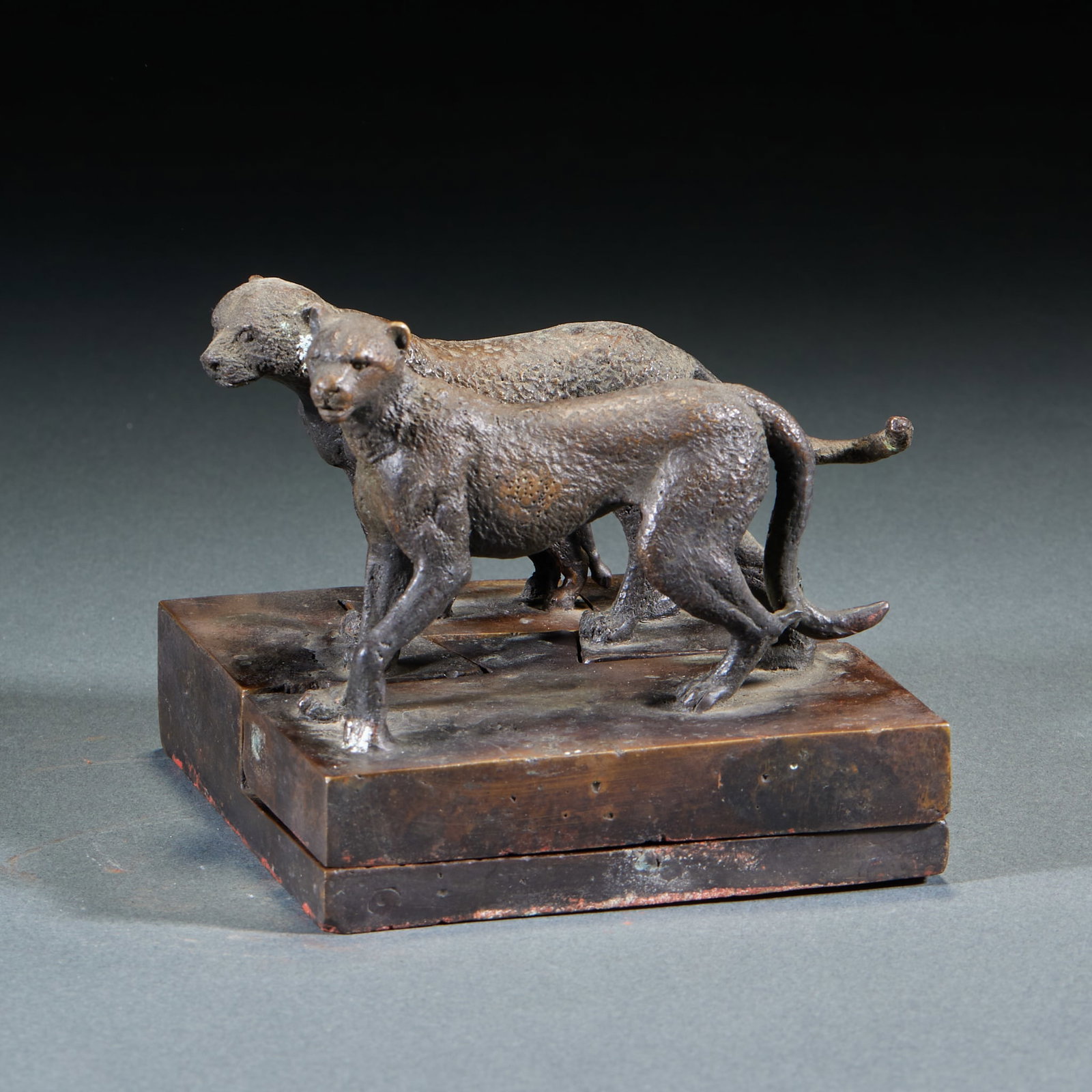 Bronze Mother-son Leopard Seals Set - 6