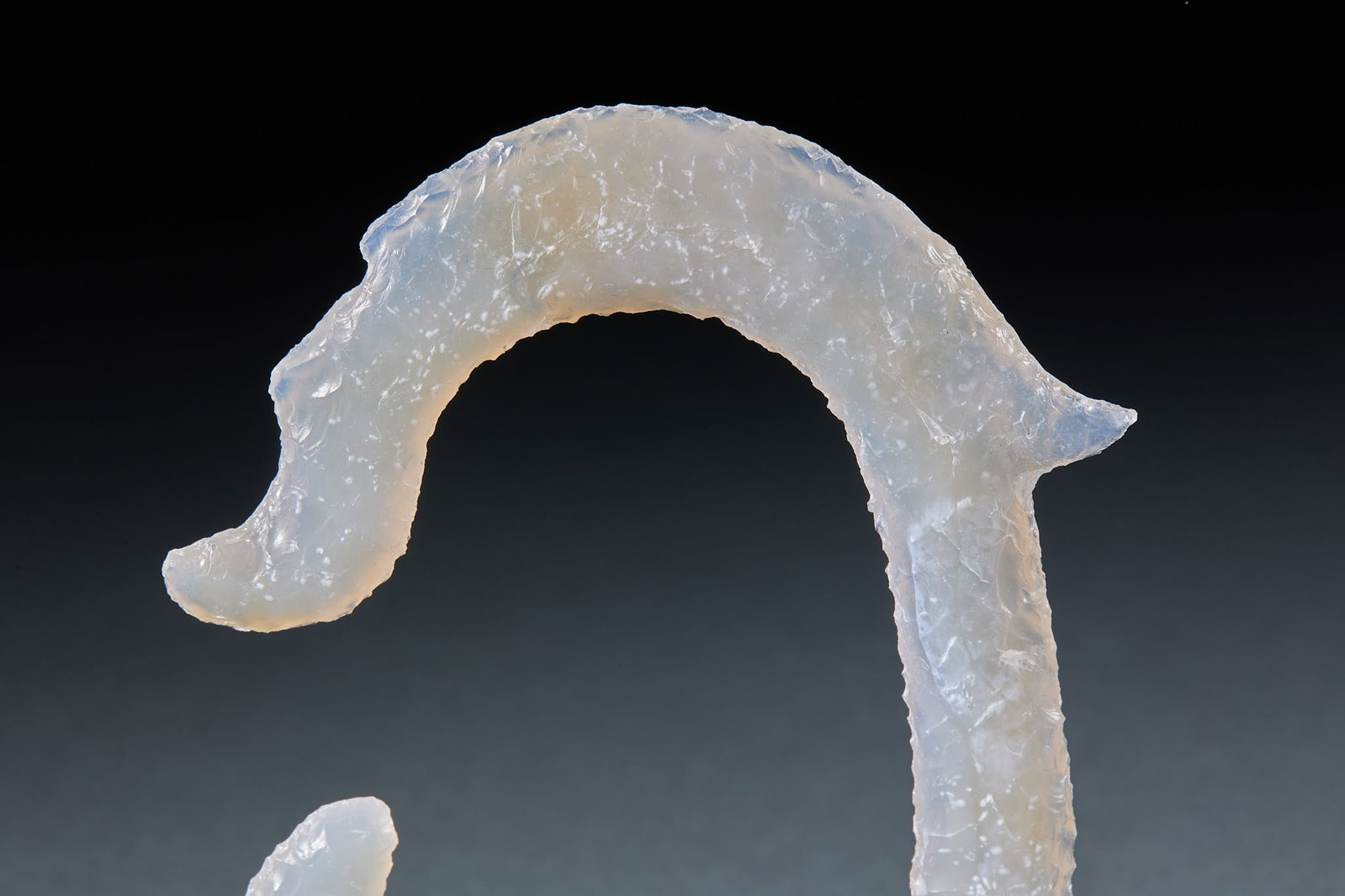 White Agate C-shaped Dragon - 2