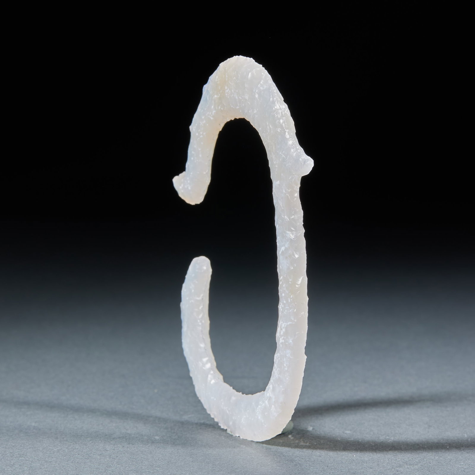 White Agate C-shaped Dragon - 4