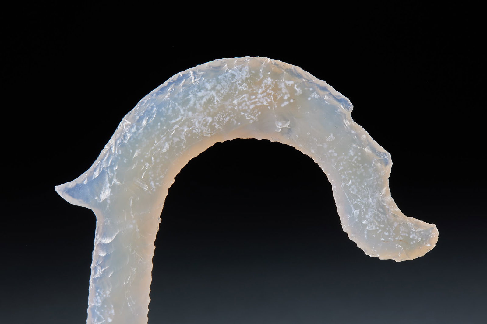 White Agate C-shaped Dragon - 6