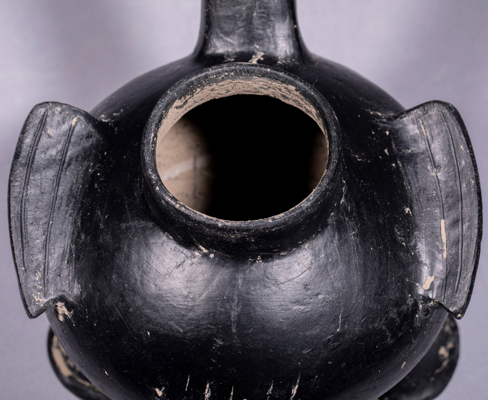 Long-necked Goose Pottery Vessel - 2