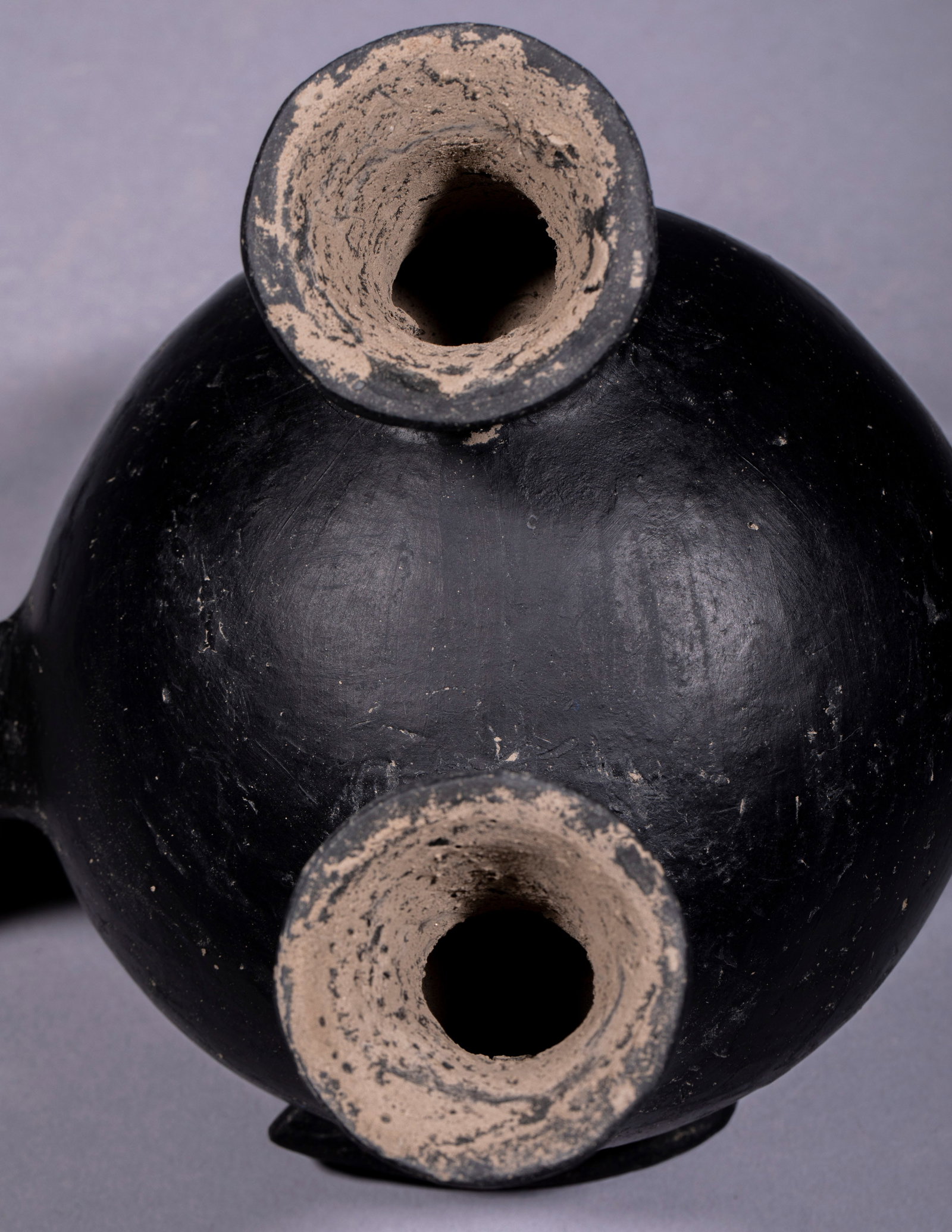 Long-necked Goose Pottery Vessel - 3