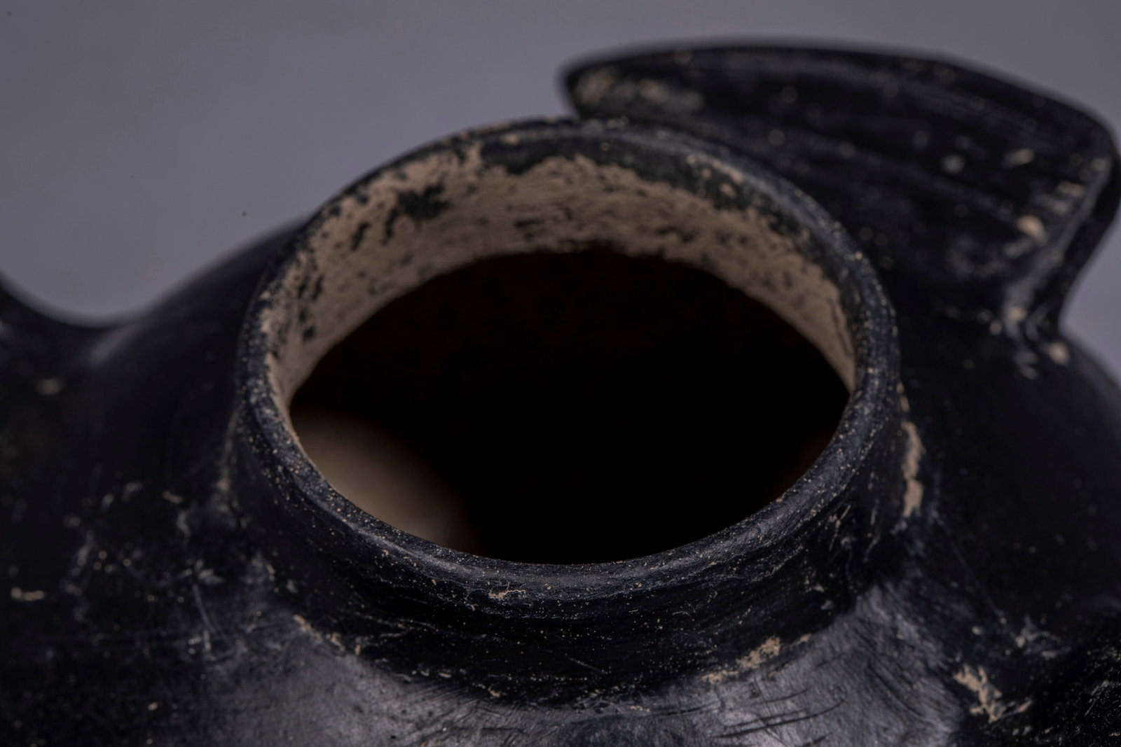 Long-necked Goose Pottery Vessel - 5