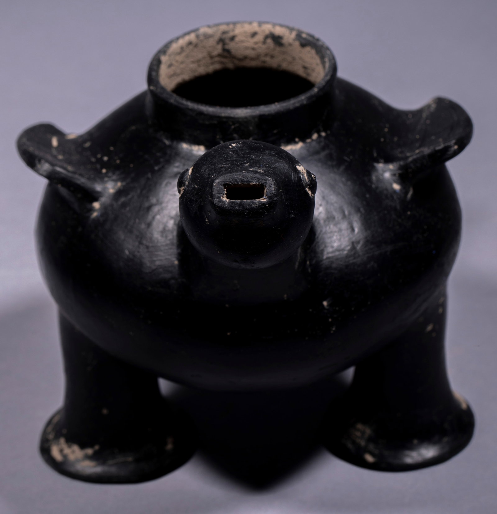 Long-necked Goose Pottery Vessel - 7