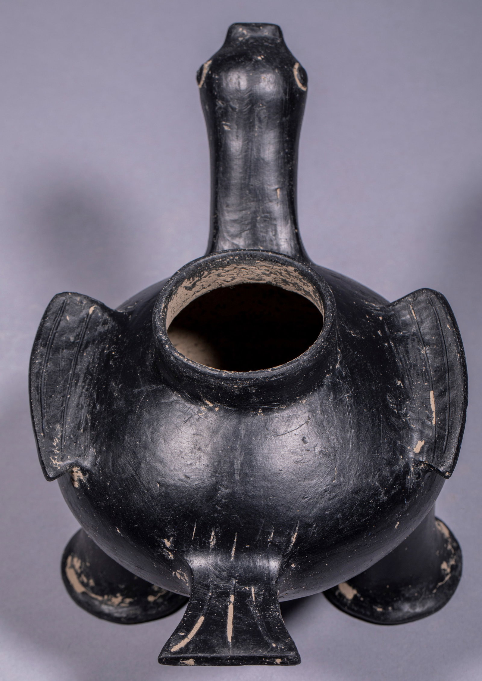 Long-necked Goose Pottery Vessel - 9