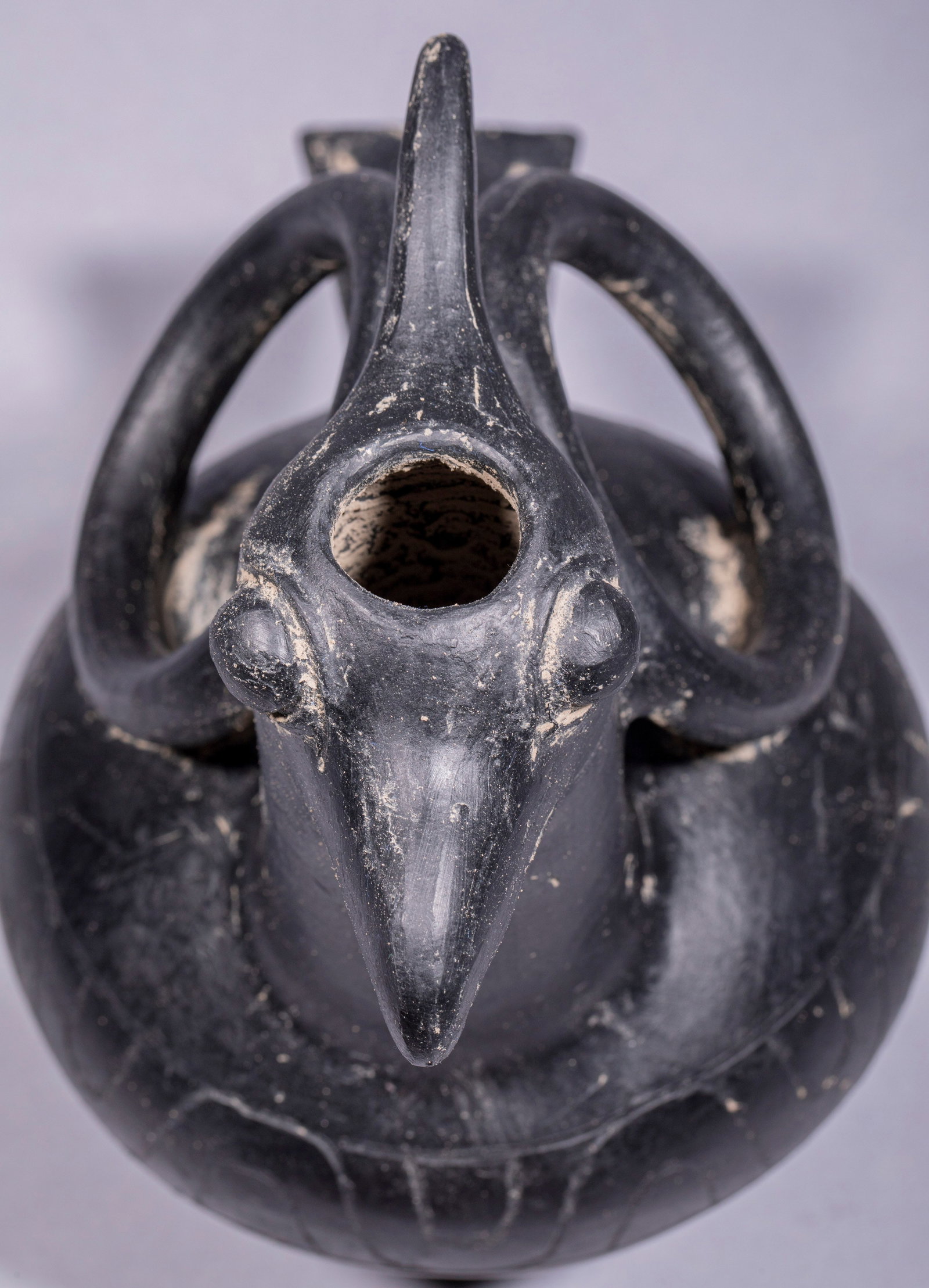 Eagle-head Loop-handle Pottery Vessel - 11