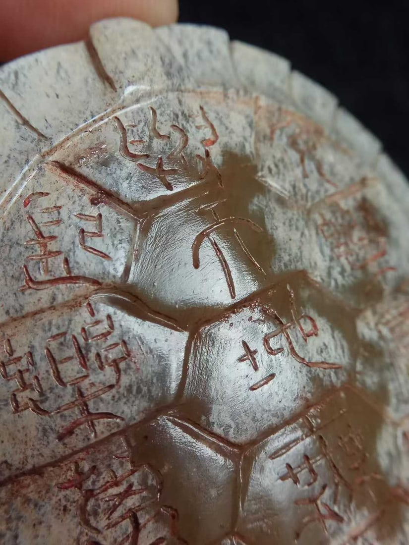 Hetian Green Jade Turtle Shell - 5