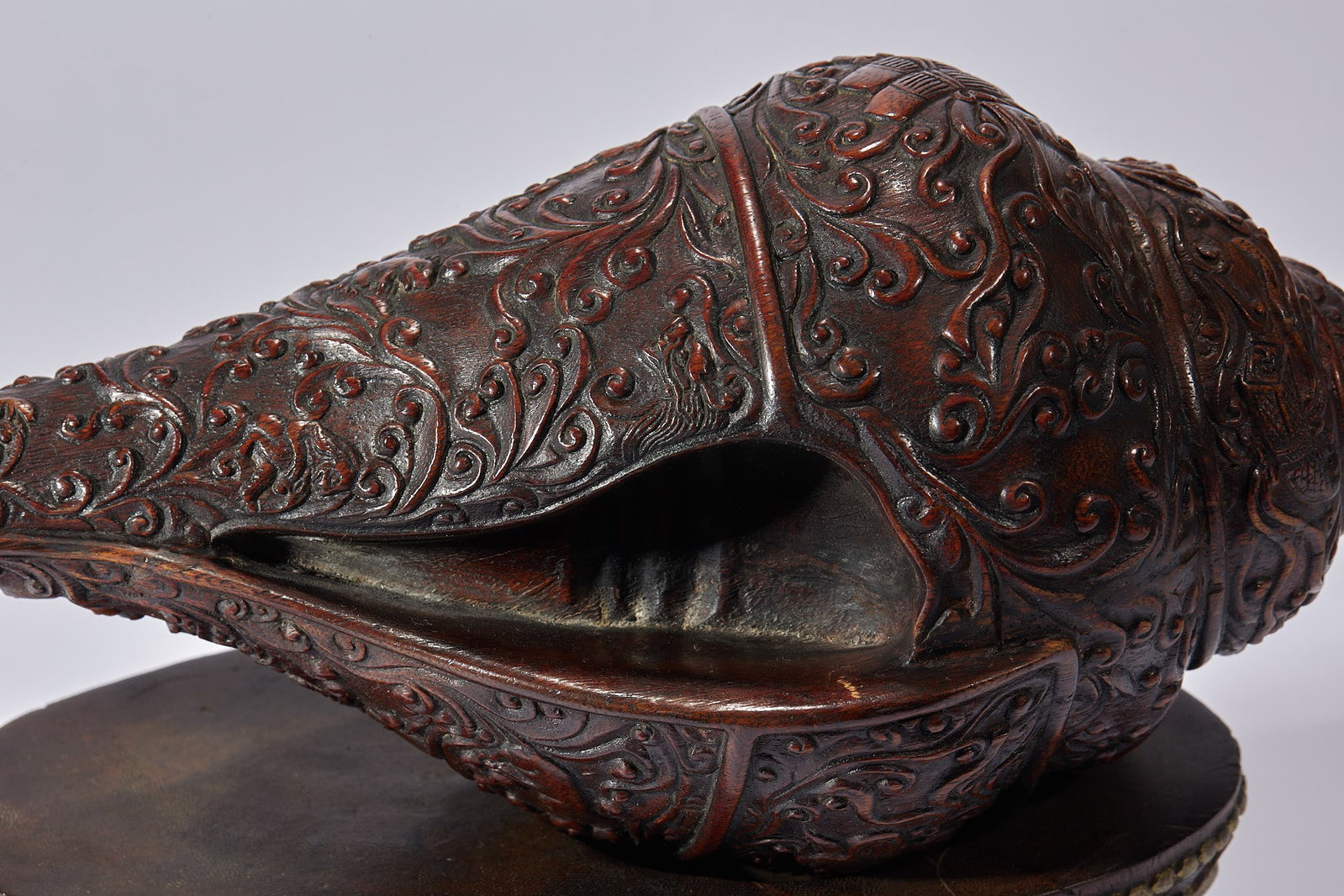 Agarwood Conch - 7