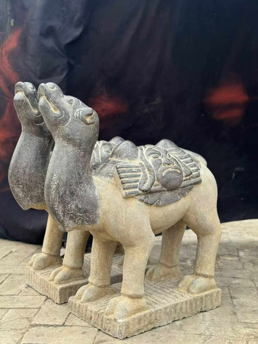 Pair of Bluestone Camels (1 of 9)