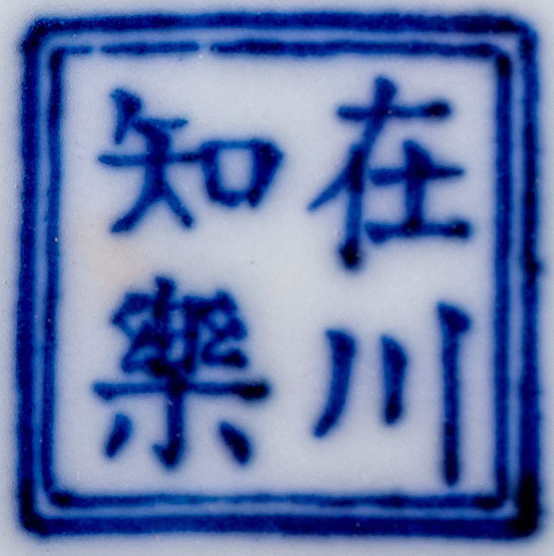 Twelve Koi Appreciation Plate - 10