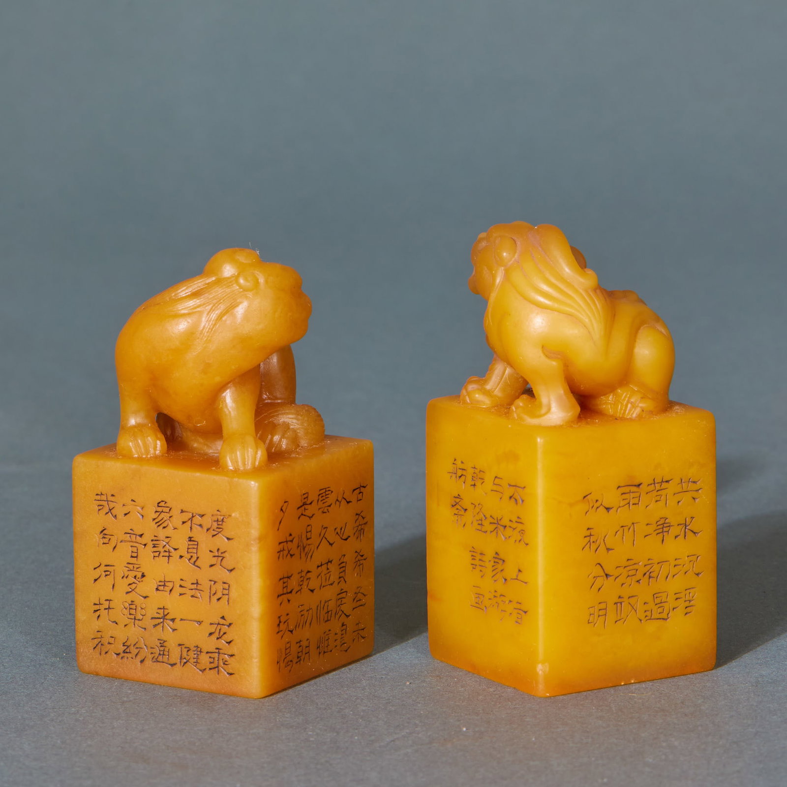 Qianlong Imperial Pine Tree Central Scroll - 10