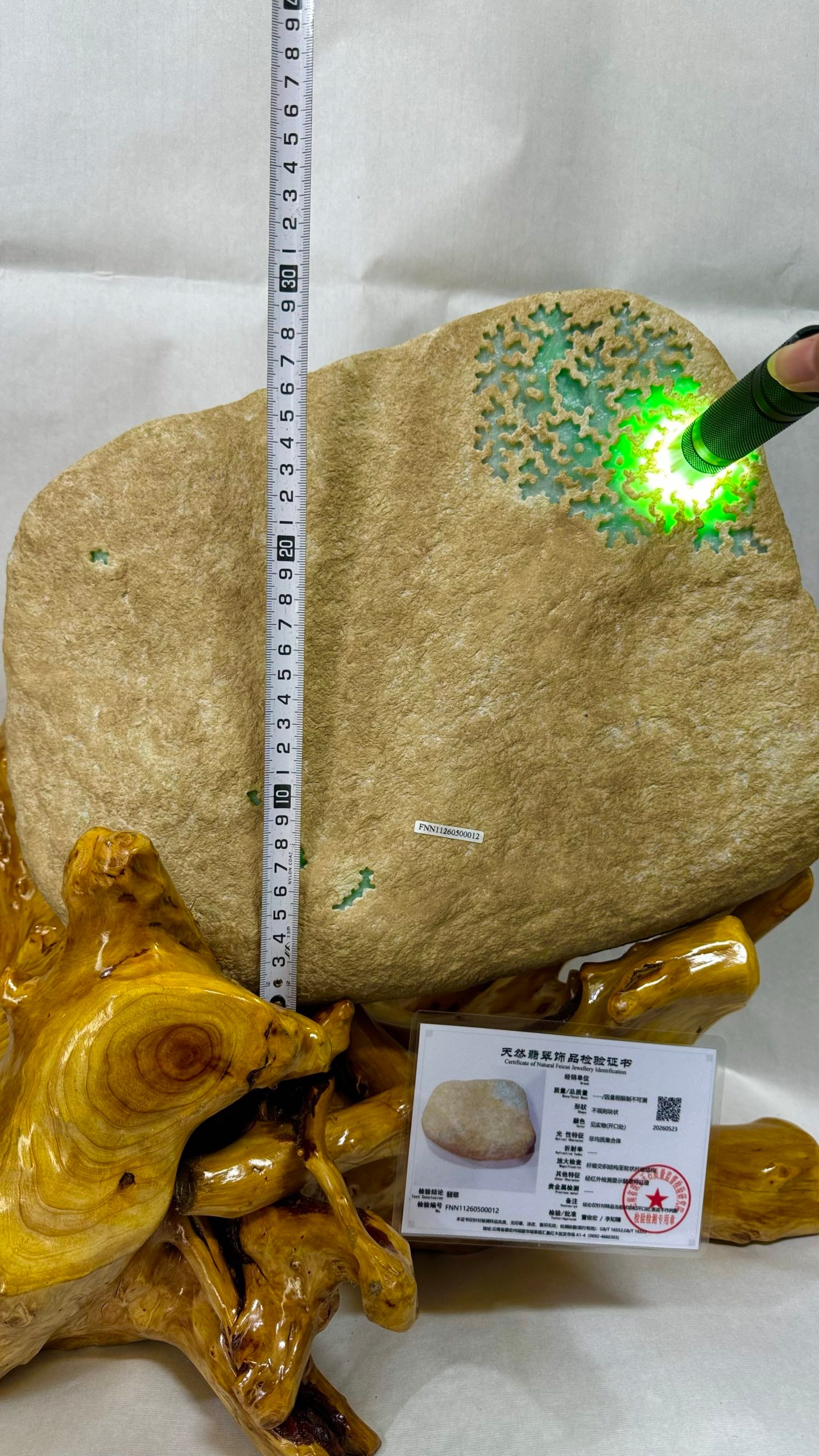Solid Vivid Emerald Rough Stone - 10