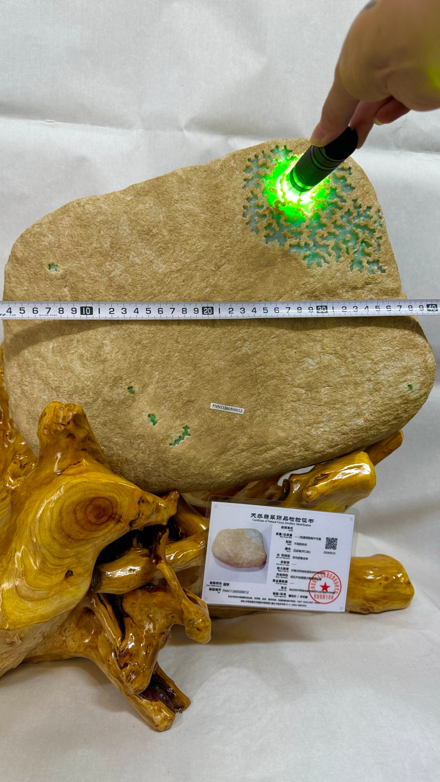 Solid Vivid Emerald Rough Stone - 9