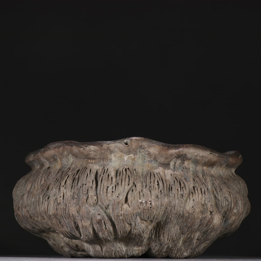 Tree Root Water Washer - 5