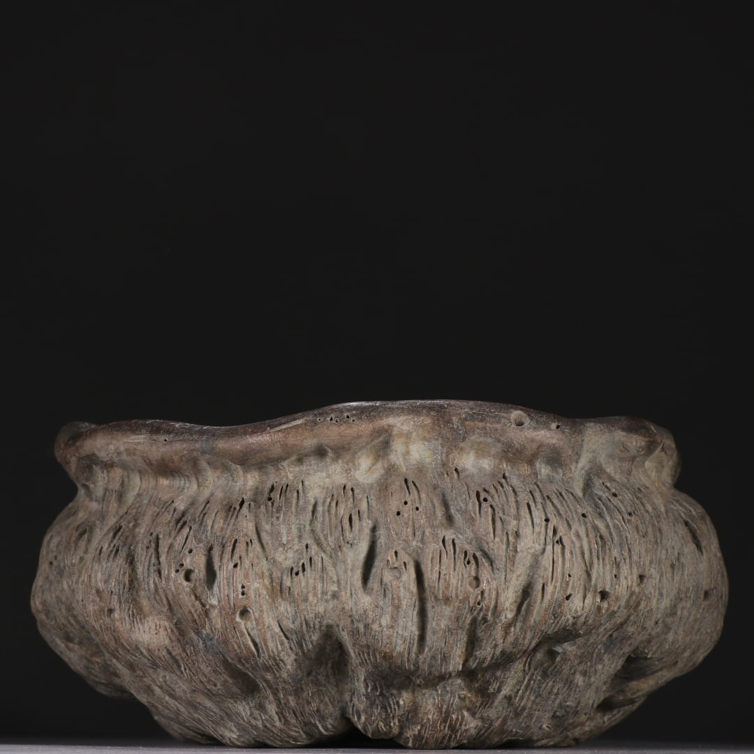 Tree Root Water Washer - 7