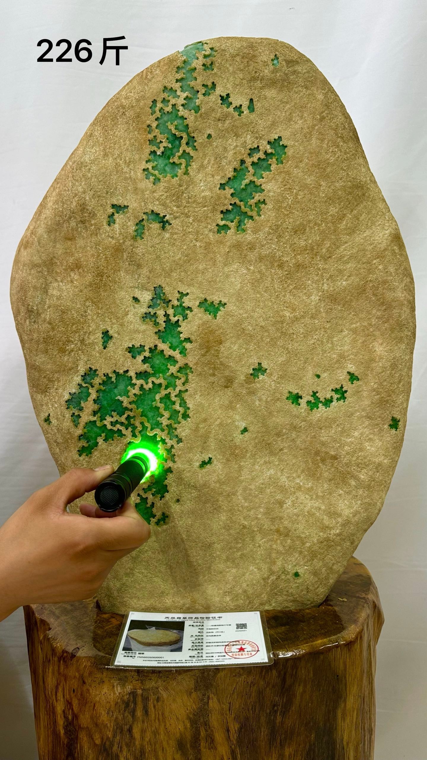 Huge Natural AGrade Vivid Emerald Rough Stone (Large Vivid Green Window, Intense Bright Green Hue) (1 of 10)