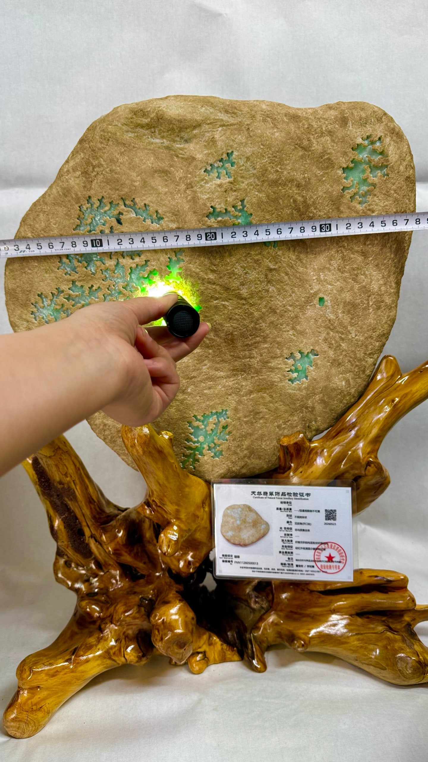 Natural Vivid Emerald Rough Stone - 10