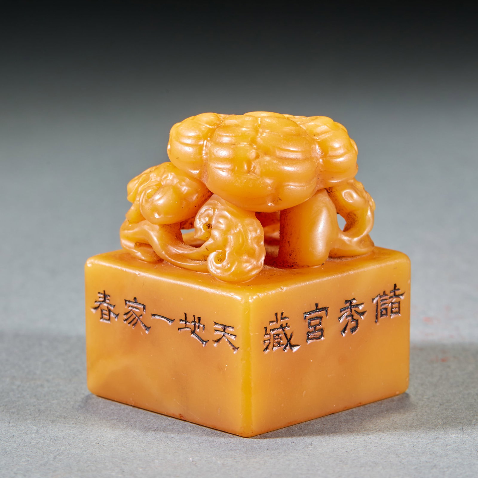 Tian Huangshi ganoderma button seal pair - 10
