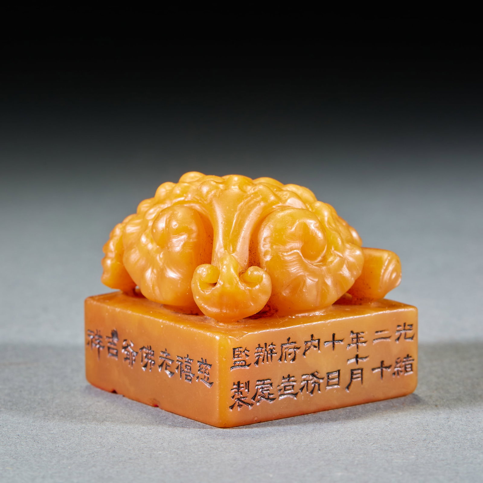 Tian Huangshi ganoderma button seal pair - 4