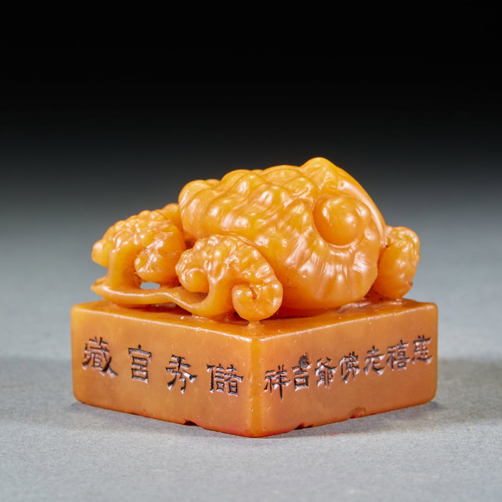 Tian Huangshi ganoderma button seal pair - 5