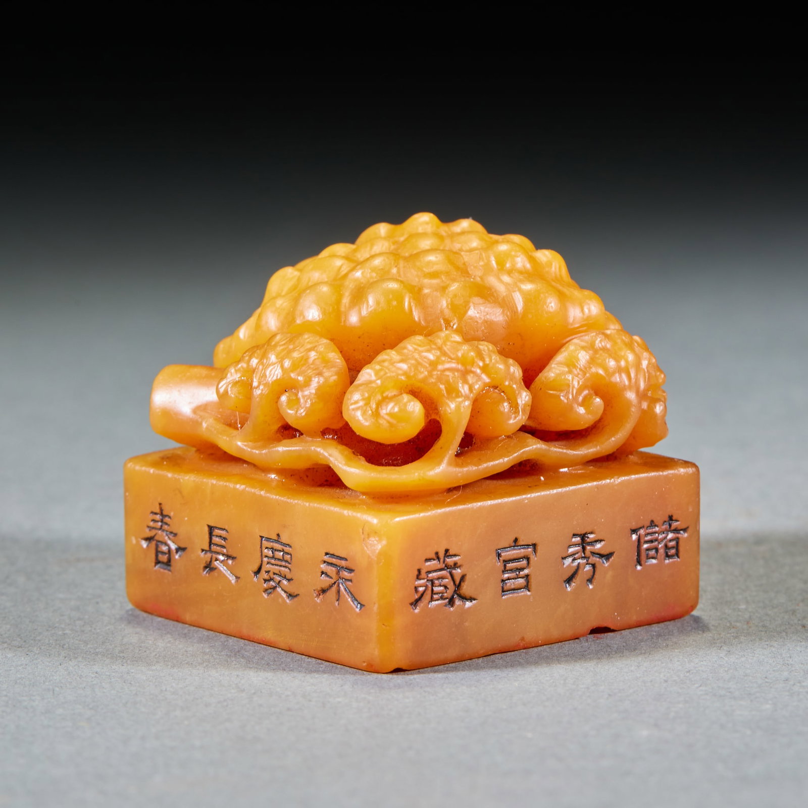 Tian Huangshi ganoderma button seal pair - 6