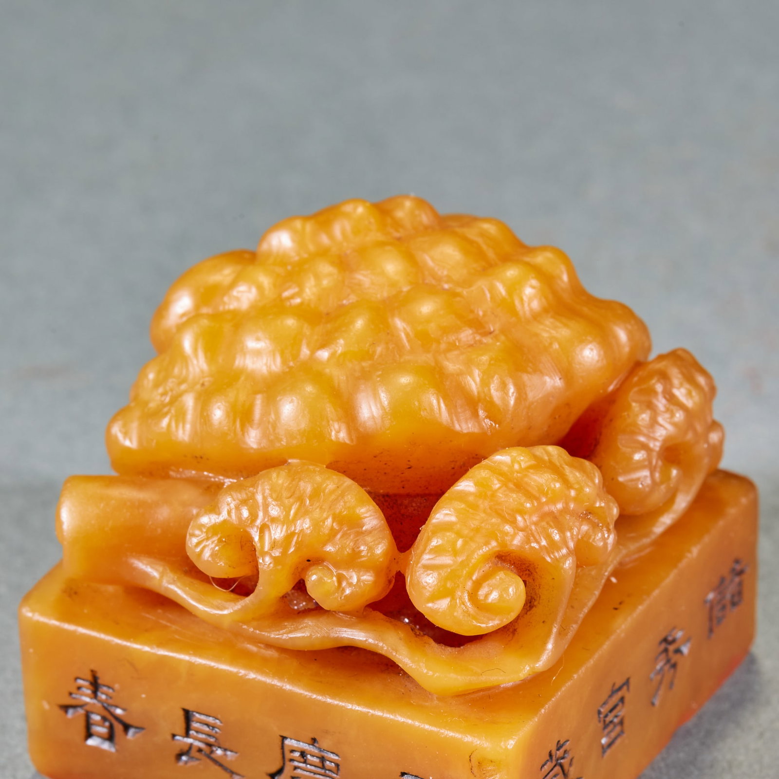 Tian Huangshi ganoderma button seal pair - 7
