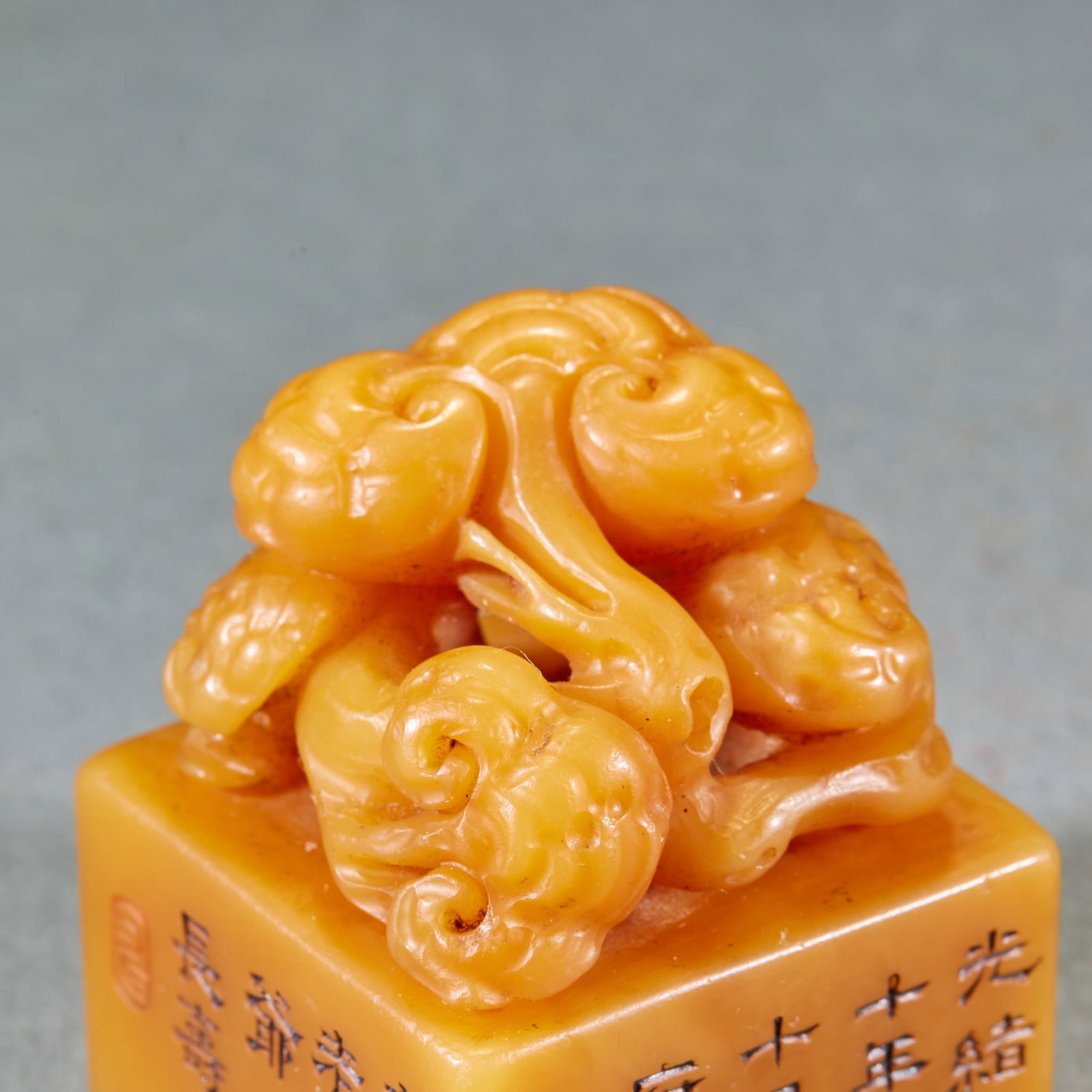 Tian Huangshi ganoderma button seal pair - 9