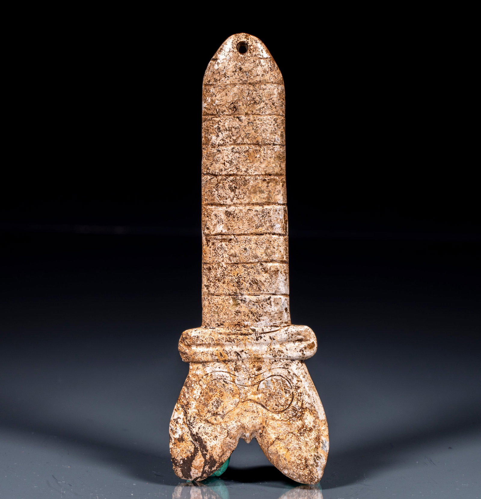 White-legged organ of chicken bone (1 of 8)