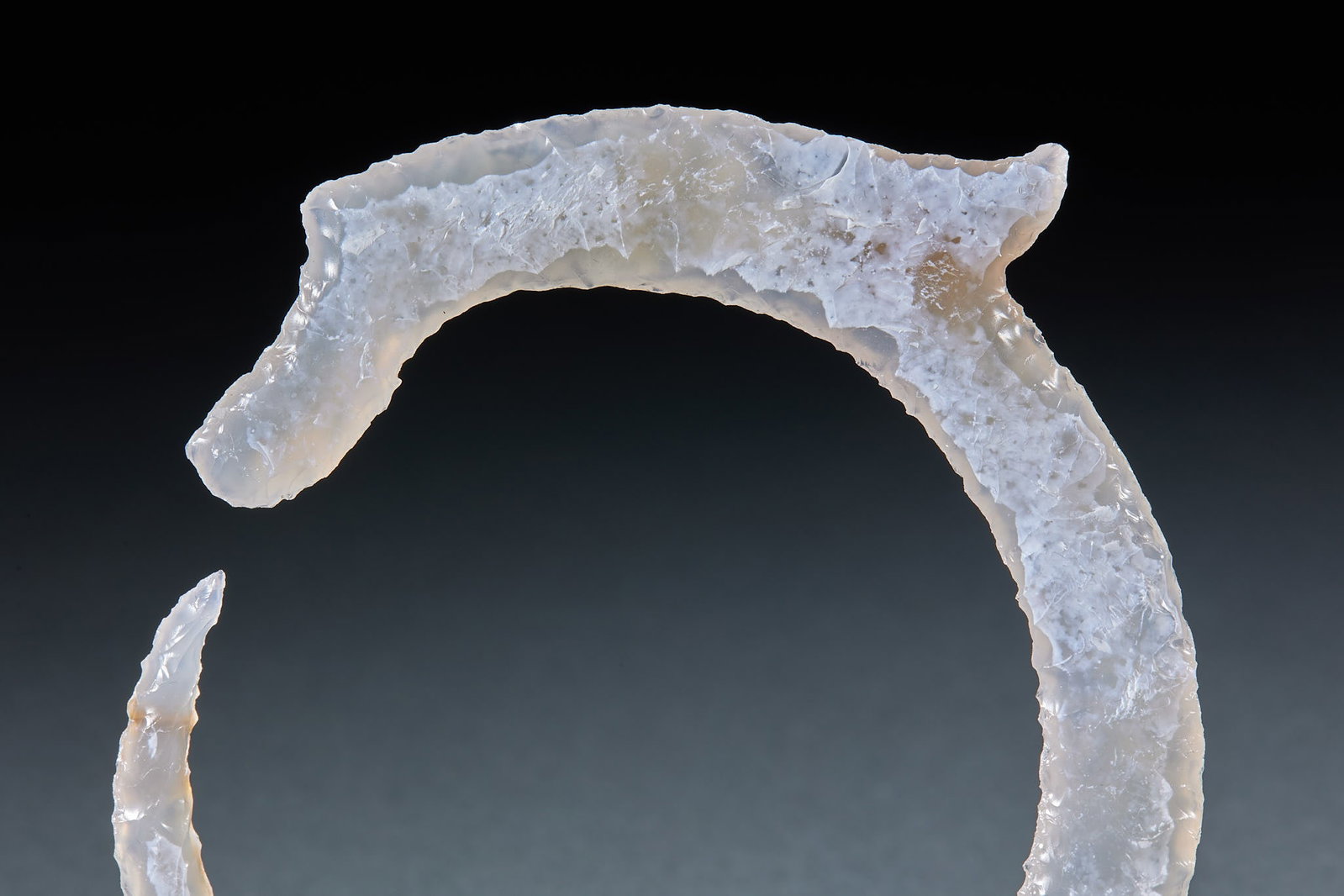 Agate biting tail dragon - 2