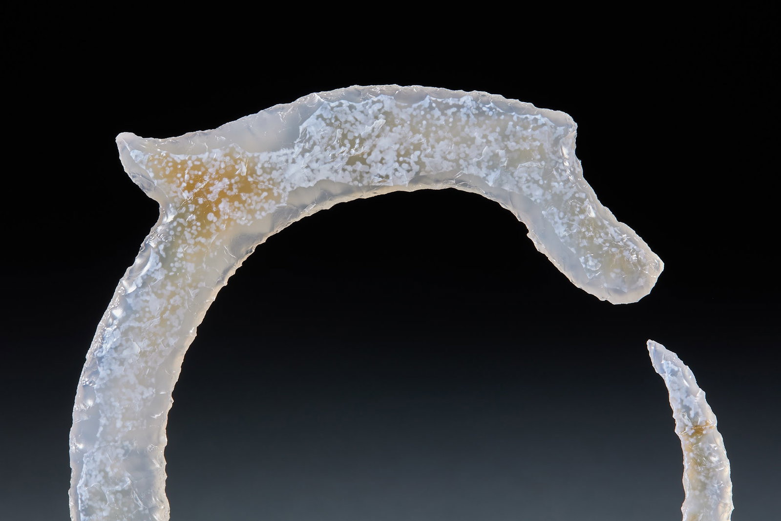 Agate biting tail dragon - 6