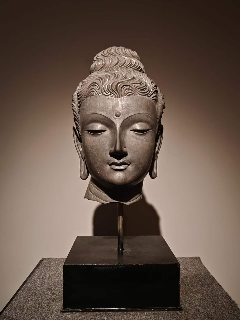 Head of Gandhara Qingshi: Blue-gray stone carving Buddha's head, with wavy hair, white hair in the middle of the forehead, slightly closed eyes, quiet and soft face, drooping ears and broken neck, placed on a metal pole and a