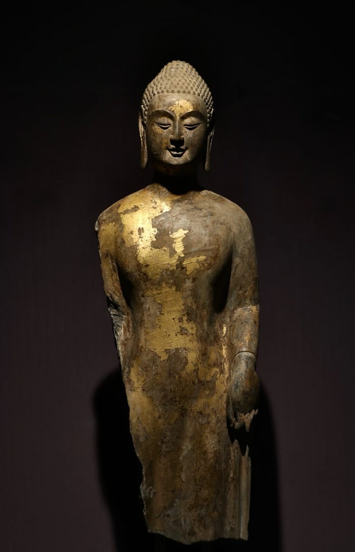 Gold-plated bust stone Buddha statue: A statue of a bluestone Buddha, with most of its body preserved and its arms damaged. The Buddha's head is a bun, his face is perfect, his eyes are closed and his expression is calm. The Buddha's