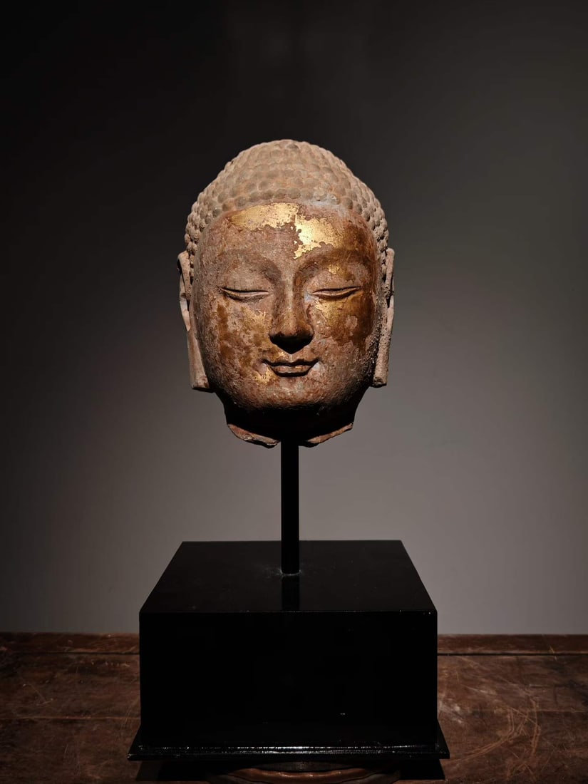 Painted Qingzhou Buddha's head with bluestone and gold.: Carved Buddha's head with sandstone, the spiral hair is regular and full, the face is rich, the eyes are closed and the expression is calm. The forehead and face are preserved with large pieces of gil