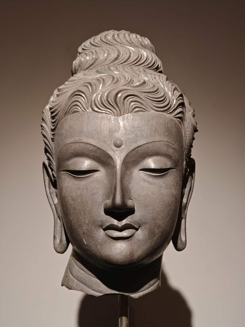 Grey-Stone Gandhara Head of Buddha: A grey-blue stone carved head of a Buddha with stacked, curled snail-shell hair, a white urna between the brows, lowered eyes and a serene, gentle face with long ear lobes ?? a Gandhara-style stone