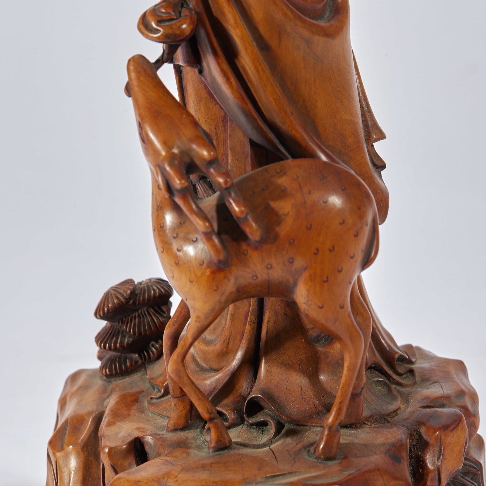 Boxwood Magu Offering Longevity - 5