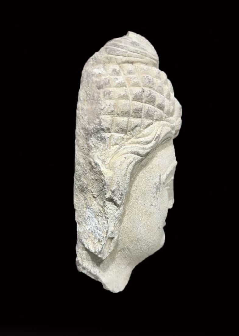 Gandhara Head - 2