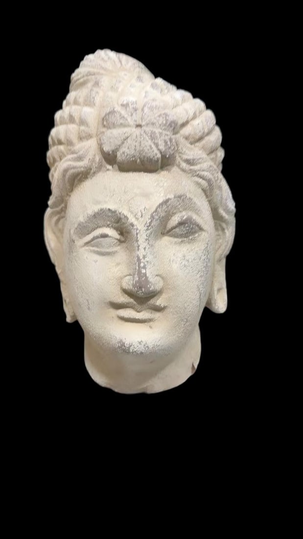 Gandhara Head - 7
