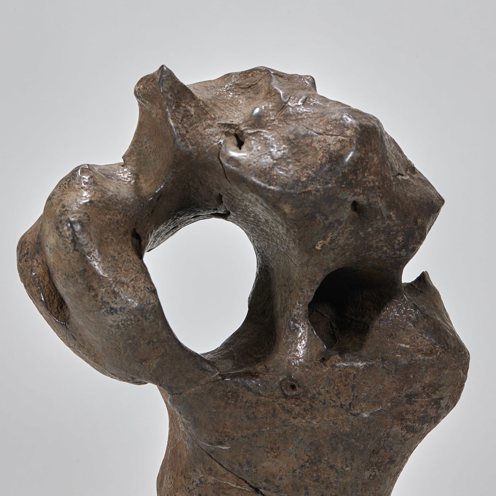 Taihu Stone - 2