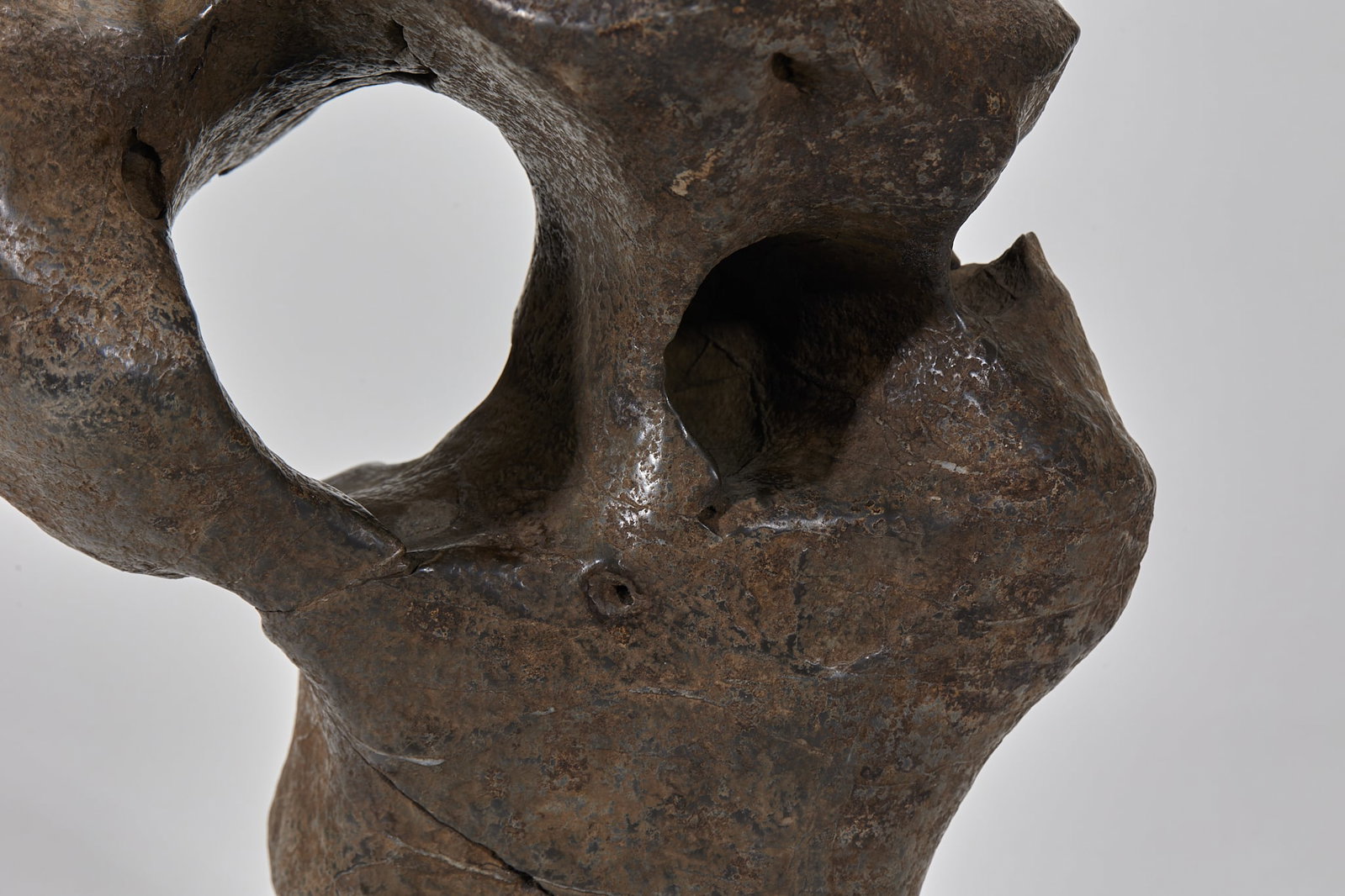 Taihu Stone - 4
