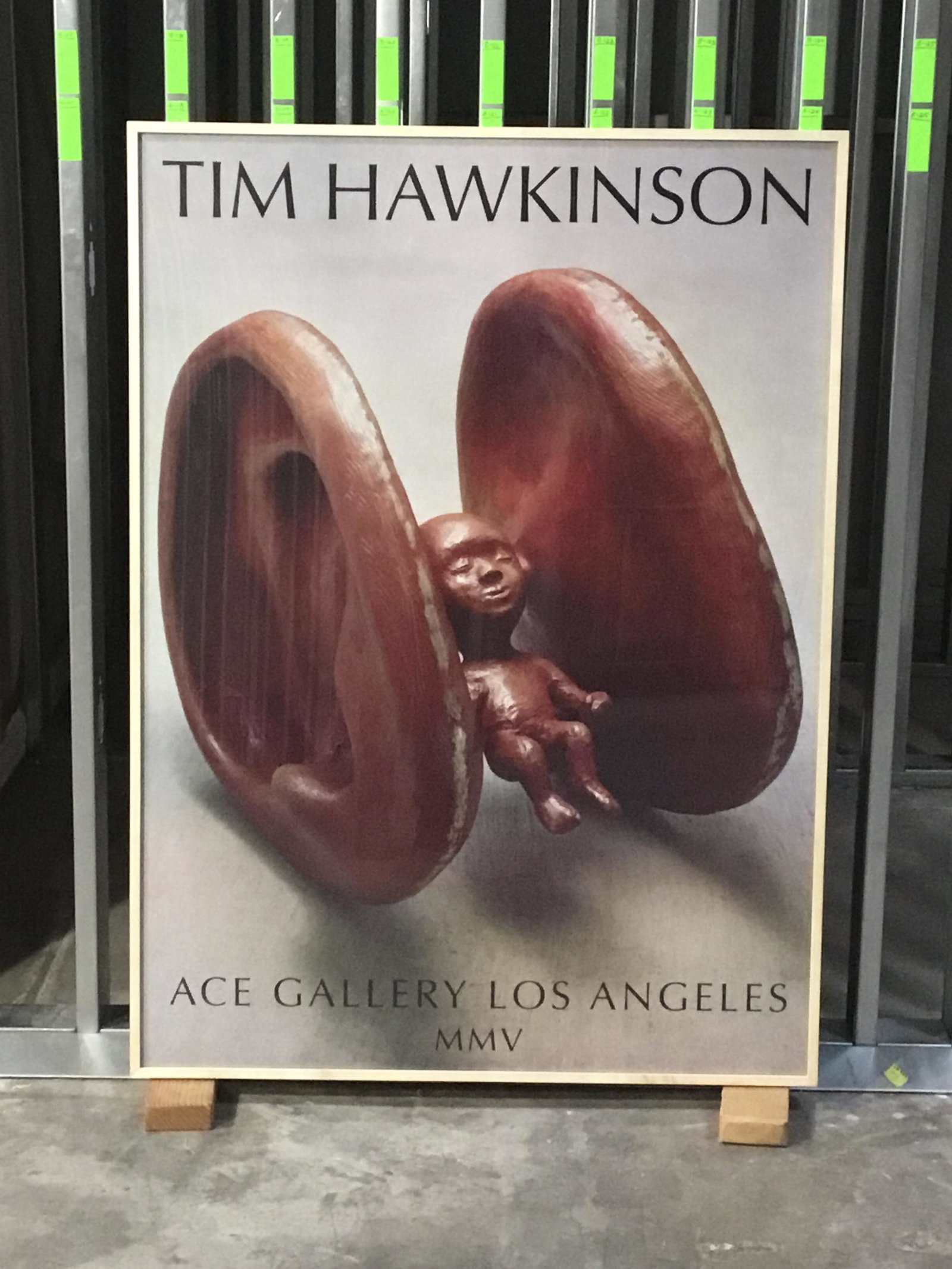 Tim Hawkinson - MMV - Framed (1 of 1)