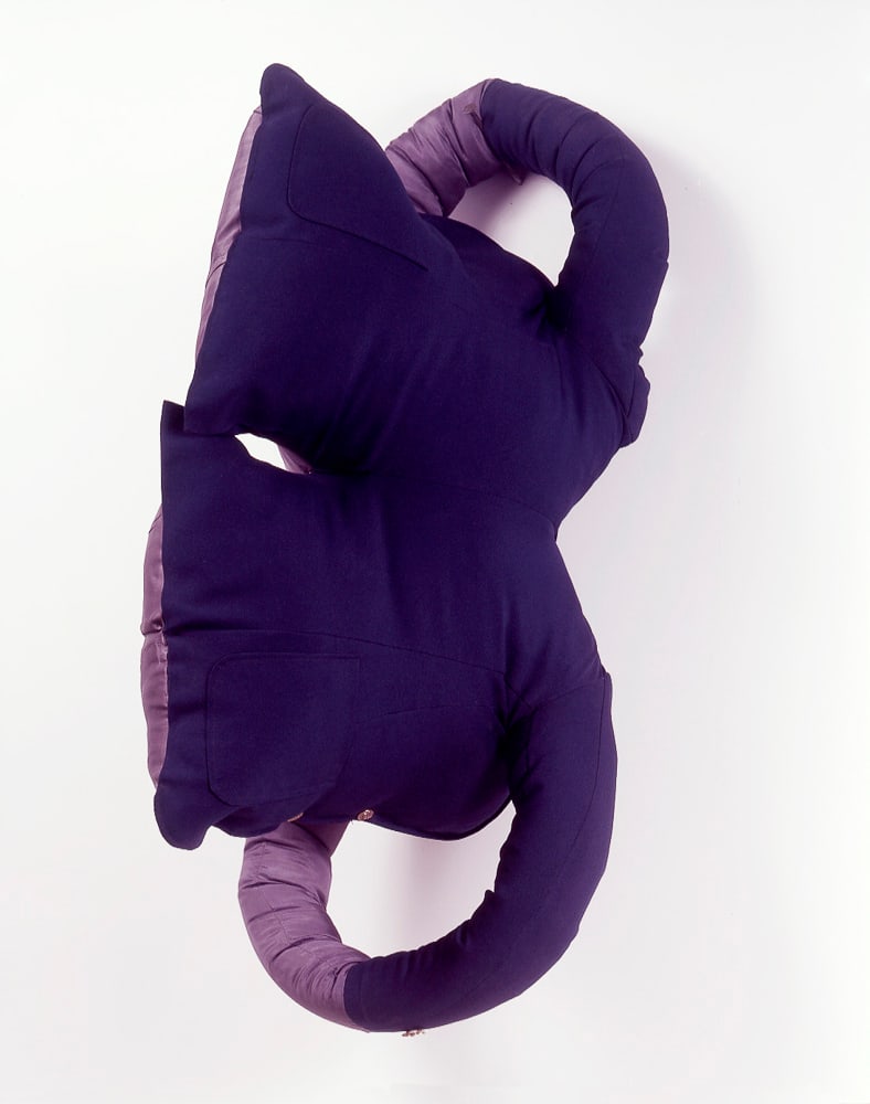 Tim Hawkinson - Suit Jacket, Dacron Stuffing, 'Jacket (Inside and Outside)' (1 of 1)