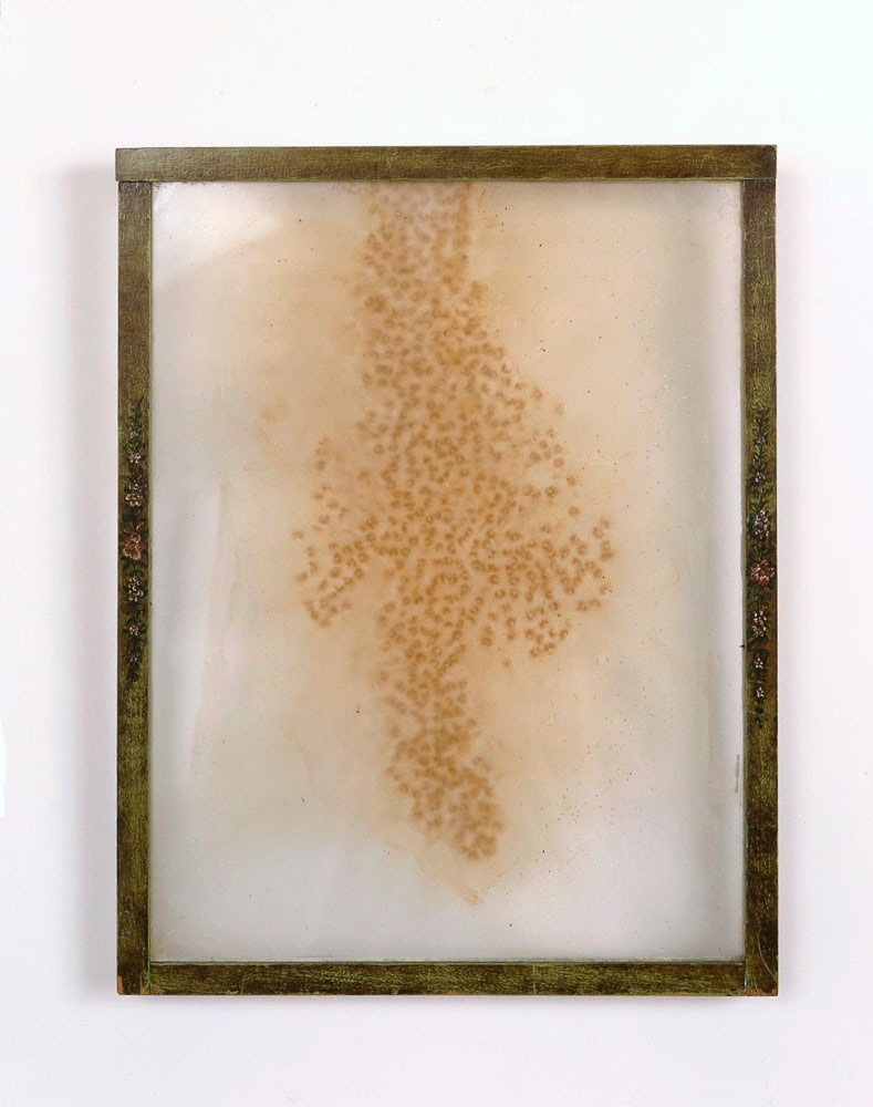 Tim Hawkinson - 600 Match Heads Ignited on Glass, 'Hands of God' (1 of 1)