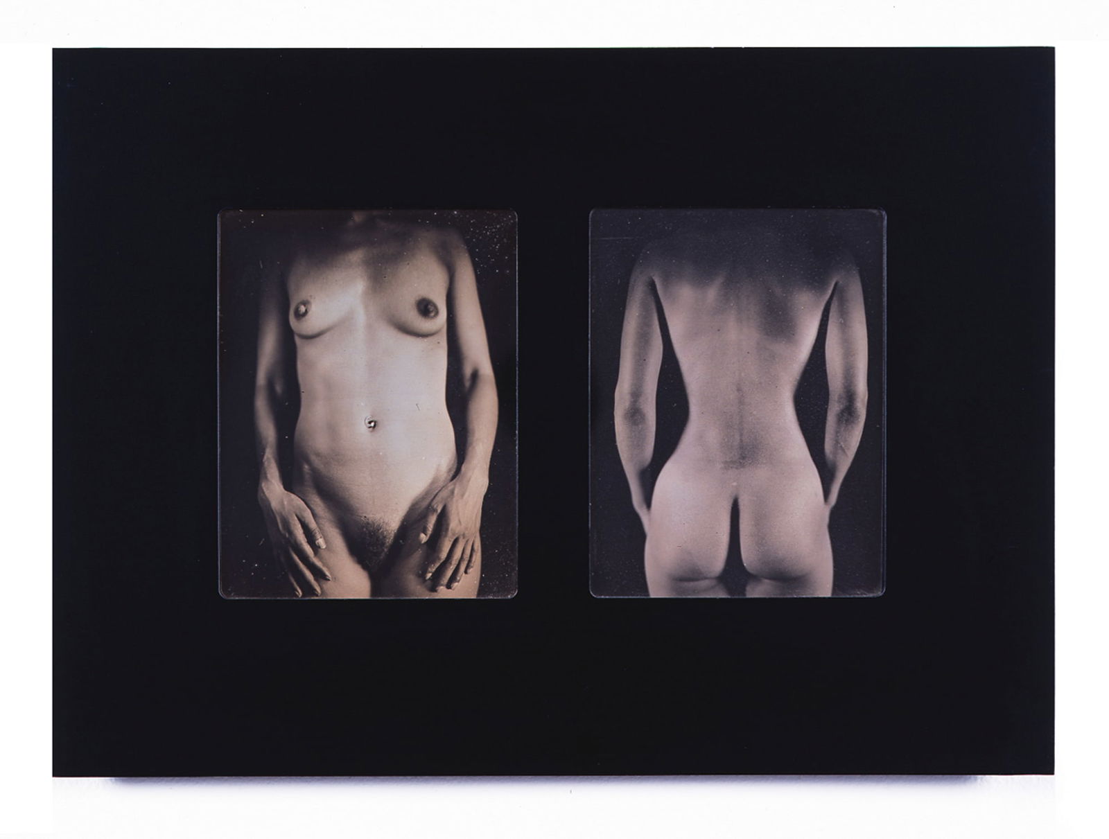 Chuck Close - Daguerreotype, Diptych, 'Ap Torso' (1 of 1)