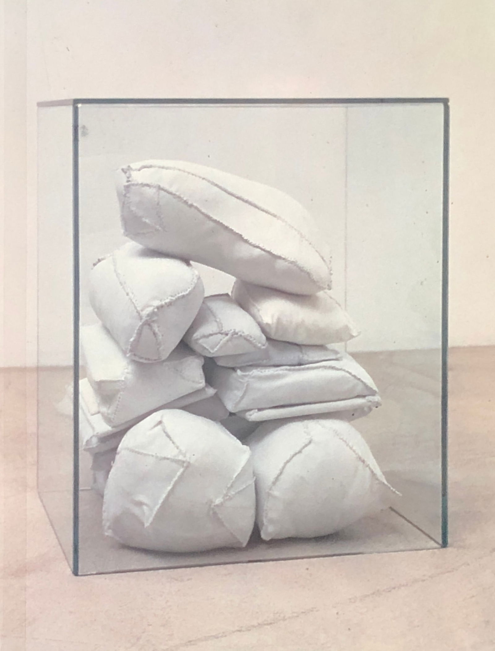 China Adams - Artist's Burdensome Possessions, Tarp, Dental Floss, Under Glass, 'Box #30' (1 of 1)