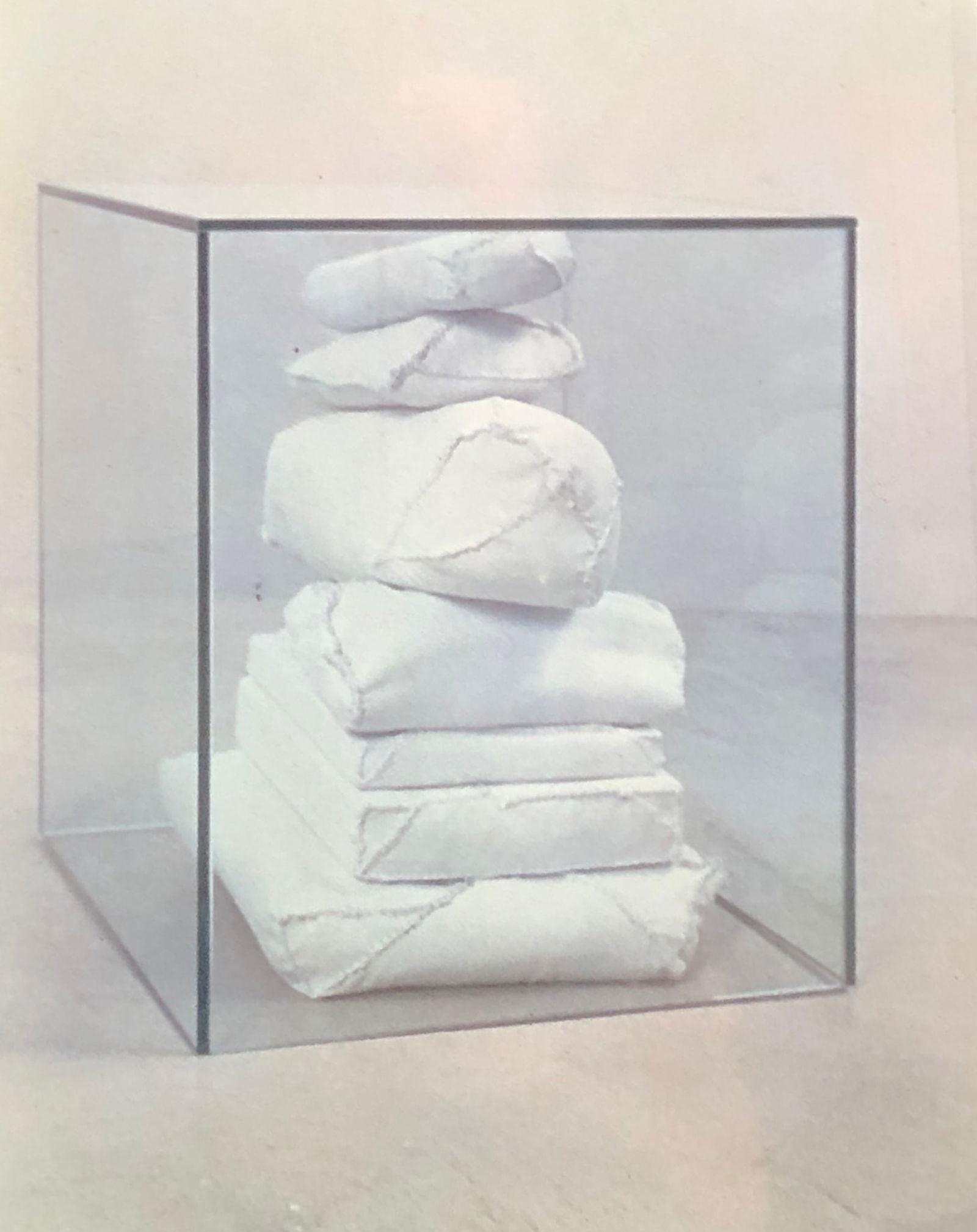 China Adams - Artist's Burdensome Possessions, Tarp, Dental Floss, Under Glass, 'Box #39' (1 of 1)
