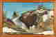 item-131797805=2