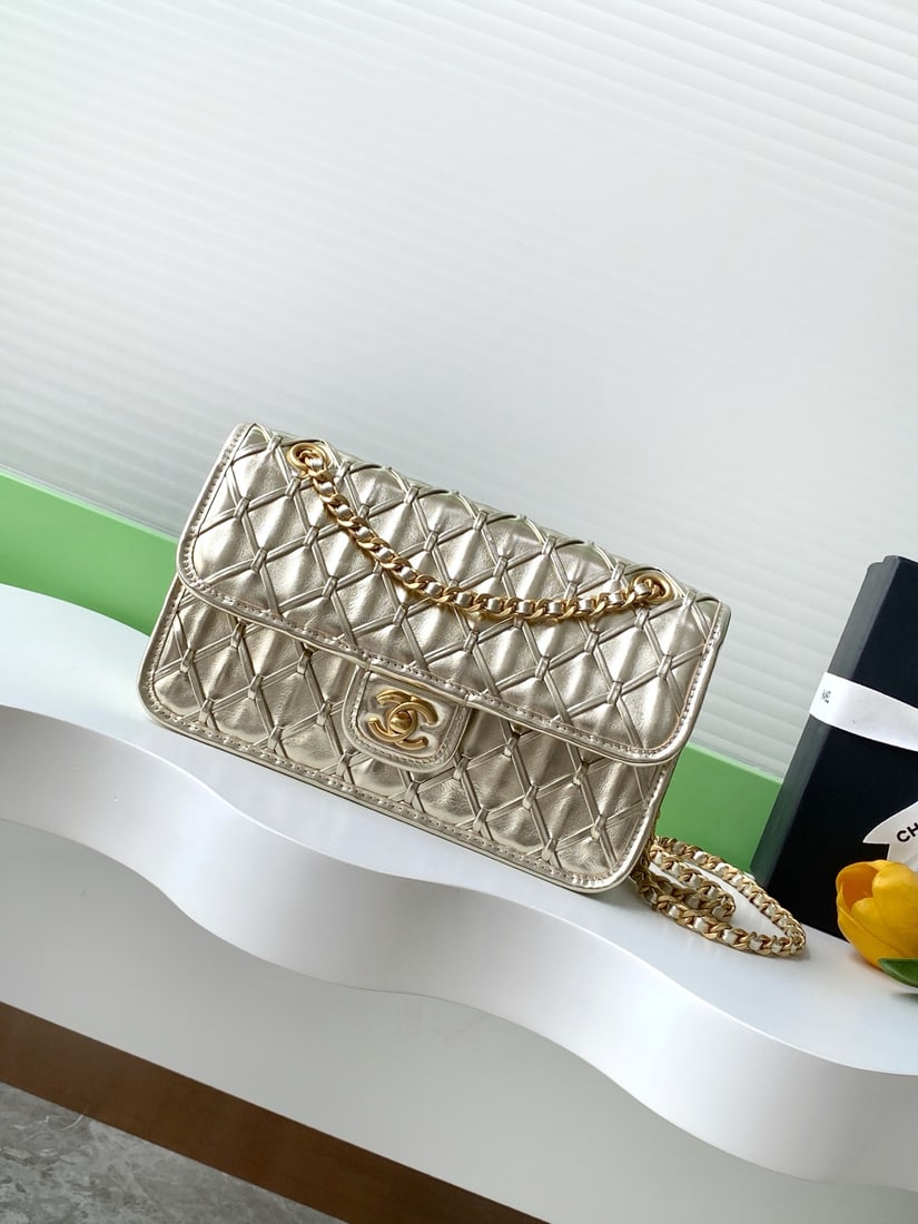 CHANEL 25C CF AS4795 (1 of 9)